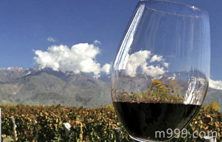 阿根廷葡萄酒-美酒在线
