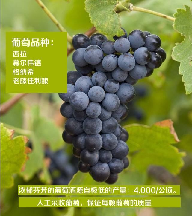 红酒预售越买越划算 法国美缇克窖藏干红葡萄酒1500ML