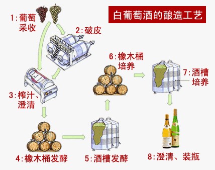 葡萄酒的酿制方法图